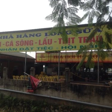 Tổng hợp- Quán Ăn Long Sữa - Gà Đồi, Cá Sông & Thịt Trâu Tươi