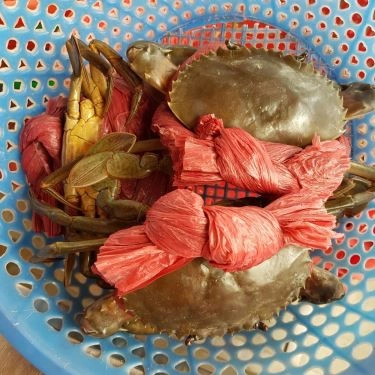 Tổng hợp- Quán Ăn Nhà Hàng Phong Cua 2 - Bình Quới