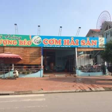 Tổng hợp- Phượng Béo - Hải Sản & Đặc Sản Rừng Biển