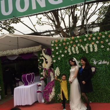 Tổng hợp- Quán Ăn Phương Mai - Gà Không Lối Thoát