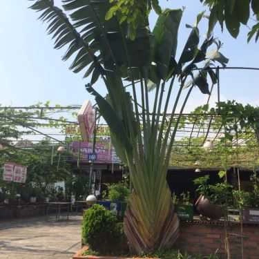 Không gian- Sân Bia Cầu Hải Đội