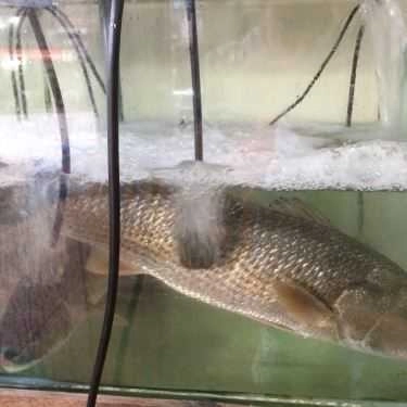 Món ăn- Thành Thuý - Cơm Bình Dân & Lẩu Hải Sản