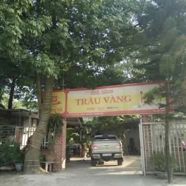 Tổng hợp- Trâu Vàng - Đặc Sản Trâu Dương Duy