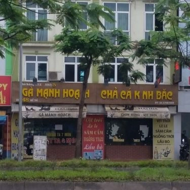 Tổng hợp- Quán Ăn Tre Xanh 5 - Gà Mạnh Hoạch & Chả Cá Kinh Bắc