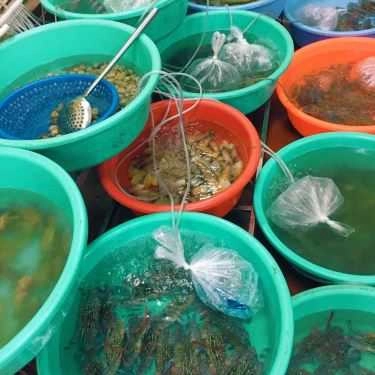 Tất cả hình- Quán Ăn Úy Thanh - Hải Sản Các Loại