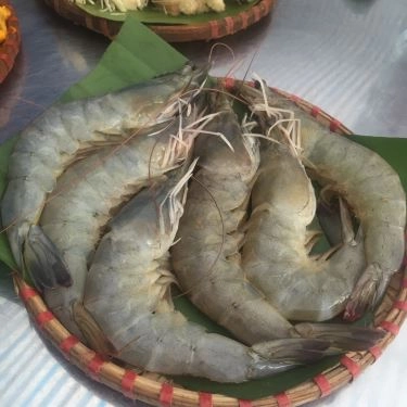 Tổng hợp- Quán Ăn Nướng Mẹt - Chùa Láng