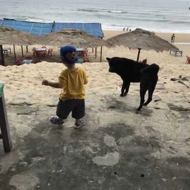 Tổng hợp- Quán Ăn O Be - Hải Sản Tươi Sống