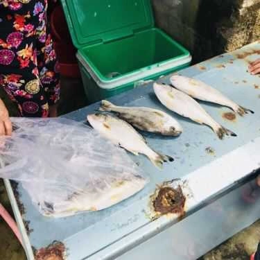 Tổng hợp- Quán Ăn O Be - Hải Sản Tươi Sống