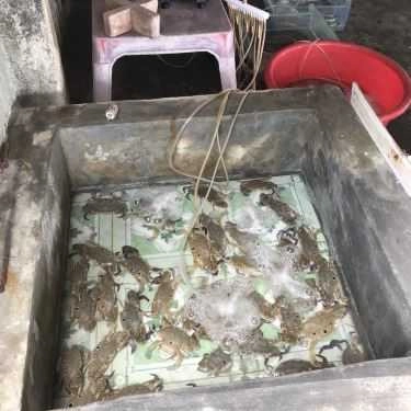 Tổng hợp- Quán Ăn O Be - Hải Sản Tươi Sống