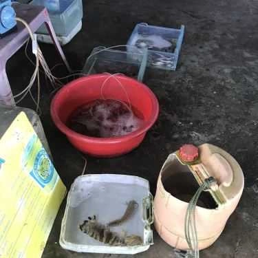 Tổng hợp- Quán Ăn O Be - Hải Sản Tươi Sống