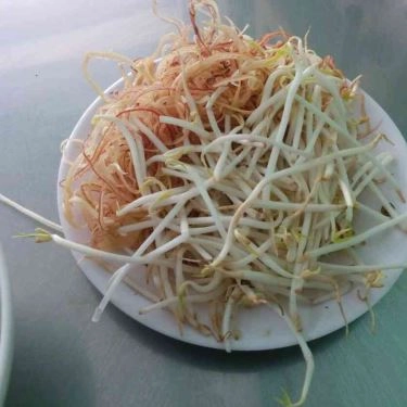 Tổng hợp- Quán Ăn O Lài - Đặc Sản Lươn Đồng Xứ Nghệ