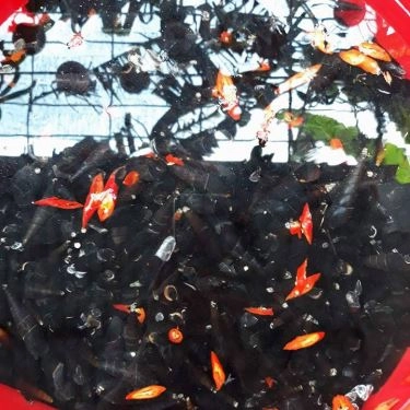 Tổng hợp- Quán Ăn Ốc 161