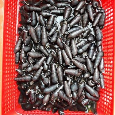 Tổng hợp- Quán Ăn Ốc 161