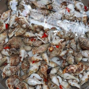 Tổng hợp- Quán Ăn Ốc 161