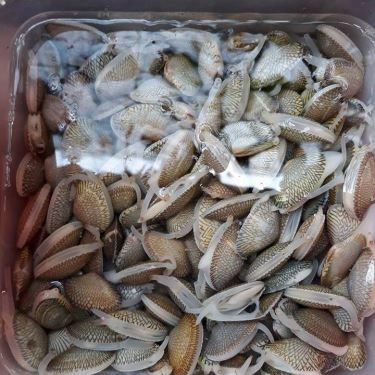 Tổng hợp- Quán Ăn Ốc 161