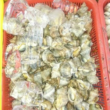 Tổng hợp- Quán Ăn Ốc 20k Thủ Đức