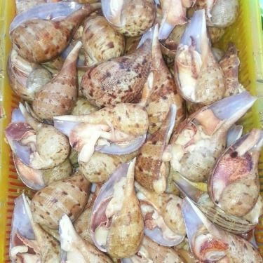 Tổng hợp- Quán Ăn Ốc 20k Thủ Đức