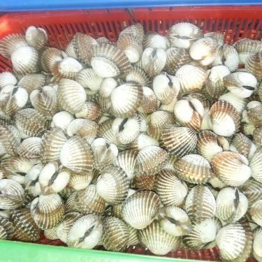 Tổng hợp- Quán Ăn Ốc 20k Thủ Đức