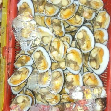 Tổng hợp- Quán Ăn Ốc 20k Thủ Đức