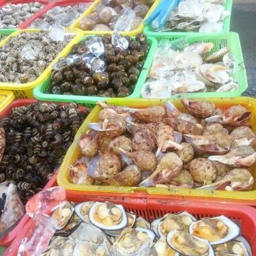 Tổng hợp- Quán Ăn Ốc 20k Thủ Đức