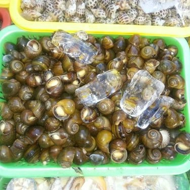 Tổng hợp- Quán Ăn Ốc 20k Thủ Đức