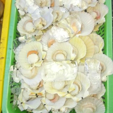 Tổng hợp- Quán Ăn Ốc 20k Thủ Đức