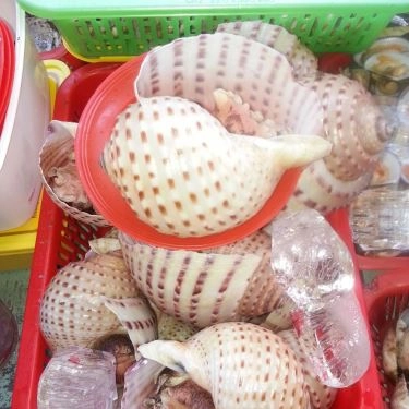 Tổng hợp- Quán Ăn Ốc 20k Thủ Đức