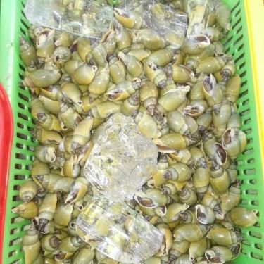 Tổng hợp- Quán Ăn Ốc 20k Thủ Đức