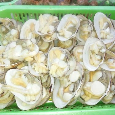 Tổng hợp- Quán Ăn Ốc 20k Thủ Đức