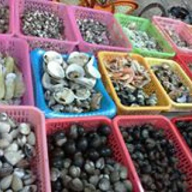 Tổng hợp- Quán Ăn Quán Ốc Cô Sáu