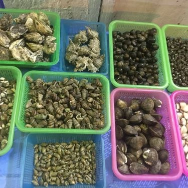 Tổng hợp- Quán Ăn Ốc 68 - Vương Quốc Ốc Biển