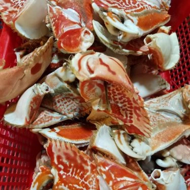 Tổng hợp- Quán Ăn Ốc Bụi - Xóm Chiếu