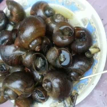 Món ăn- Quán Ăn Ốc Cầu Vượt