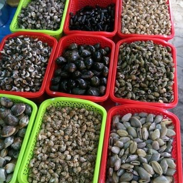 Tổng hợp- Quán Ăn Ốc Cay