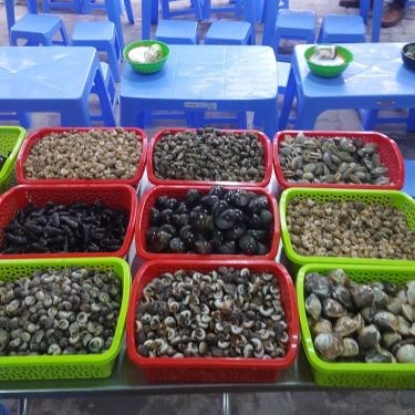 Tổng hợp- Quán Ăn Ốc Cay