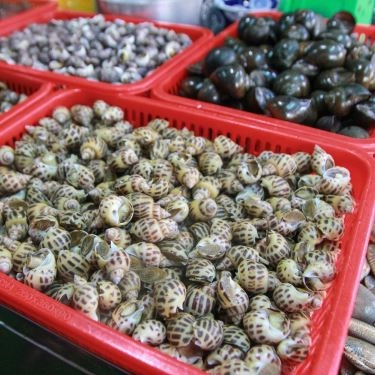 Tổng hợp- Quán Ăn Ốc Cay Hà Nội - Ông Ích Khiêm