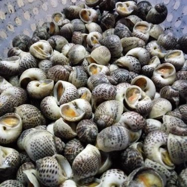 Món ăn- Quán Ăn Ốc Cay - KĐT Tây Nam Linh Đàm