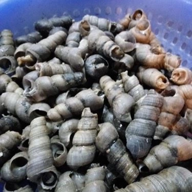 Món ăn- Quán Ăn Ốc Cay - KĐT Tây Nam Linh Đàm