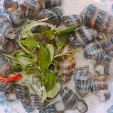 Món ăn- Quán Ăn Ốc Chảo 535 - Phạm Văn Đồng