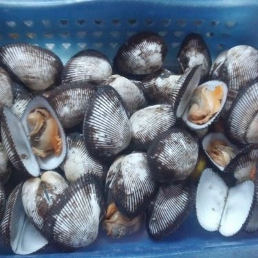 Tổng hợp- Quán Ăn Ốc Cô Huệ - Thiên Phước