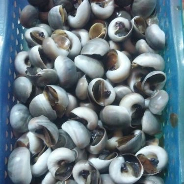 Tổng hợp- Quán Ăn Ốc Cô Huệ - Thiên Phước
