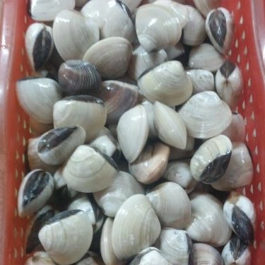 Tổng hợp- Quán Ăn Ốc Cô Huệ - Thiên Phước