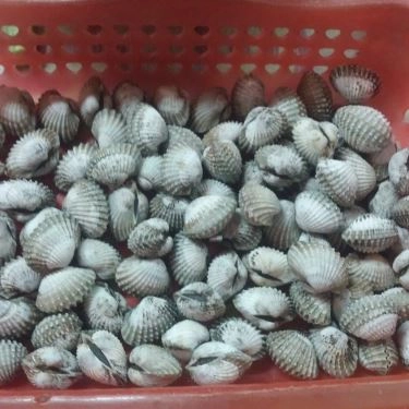 Tổng hợp- Quán Ăn Ốc Cô Huệ - Thiên Phước