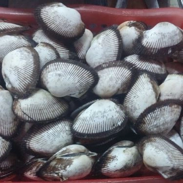 Tổng hợp- Quán Ăn Ốc Cô Huệ - Thiên Phước