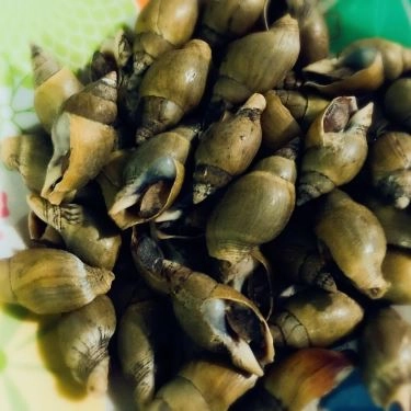 Tổng hợp- Quán Ăn Ốc Cô Sáu 79