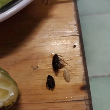 Tổng hợp- Quán Ăn Ốc Đêm Hàng Xanh