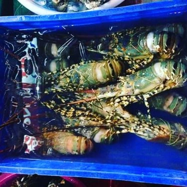 Tổng hợp- Quán Ăn Ốc Đông Xuân - Tháp Bà