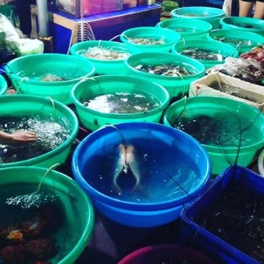 Tổng hợp- Quán Ăn Ốc Đông Xuân - Tháp Bà