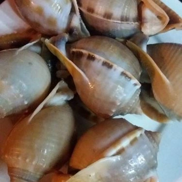 Món ăn- Quán Ăn Ốc Gành Son