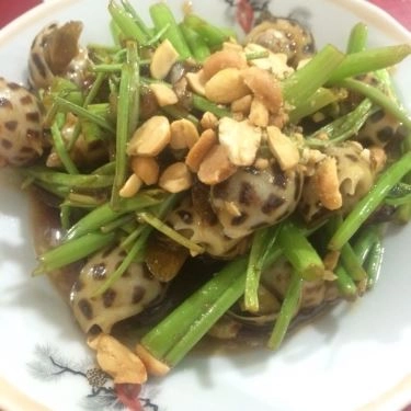 Tổng hợp- Quán Ăn Ốc Hòa - Ốc Bình Dân